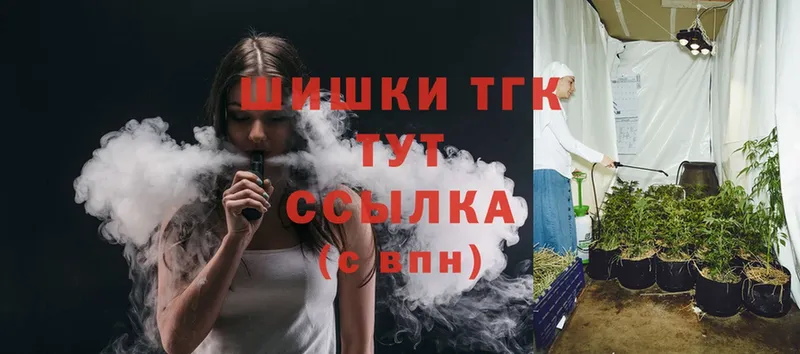 Бошки Шишки тримм  Суджа 